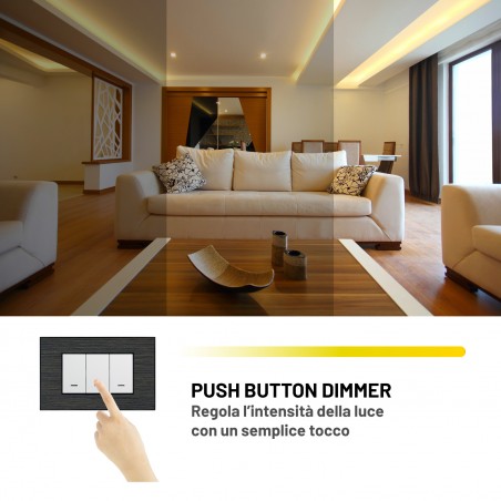 Dimmer Newlab Push-cv L660MA0FT1A01